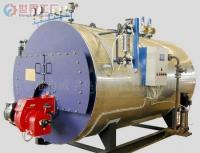 批發(fā)張家港威孚-WNS 0.15t/h燃?xì)獍l(fā)生器_機(jī)械及行業(yè)設(shè)備_世界工廠網(wǎng)中國(guó)產(chǎn)品信息庫(kù)