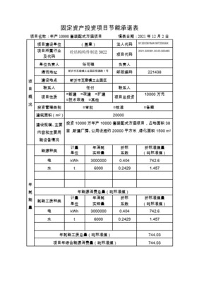 固定資產(chǎn)投資項(xiàng)目節(jié)能承諾表項(xiàng)目投資分析與填報(bào)指南